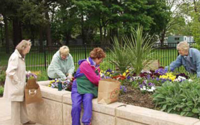 Jardines terapéuticos para personas mayores