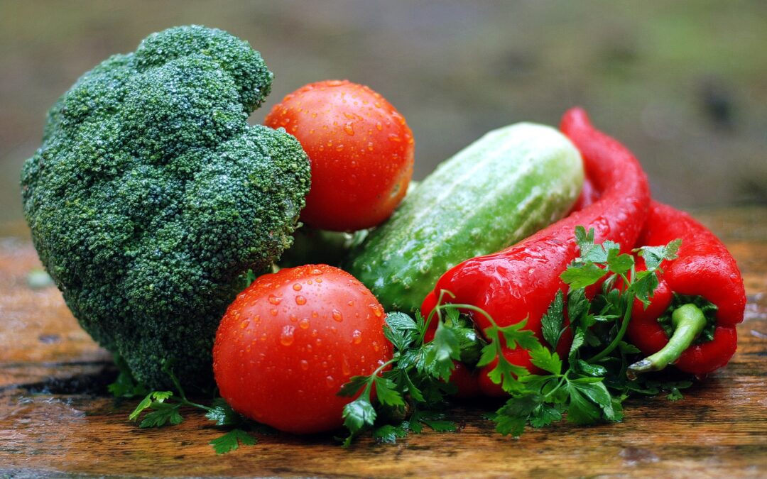 nutricion